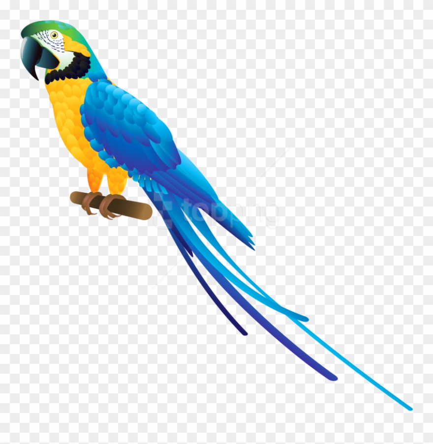Free Png Download Blue Parrot Clipart Png Photo Png - Macaw Clipart Transparent Png
