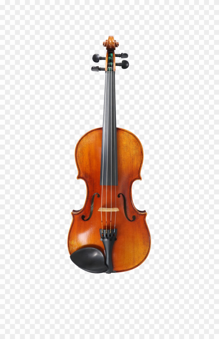 2000 X 3000 2 Clipart