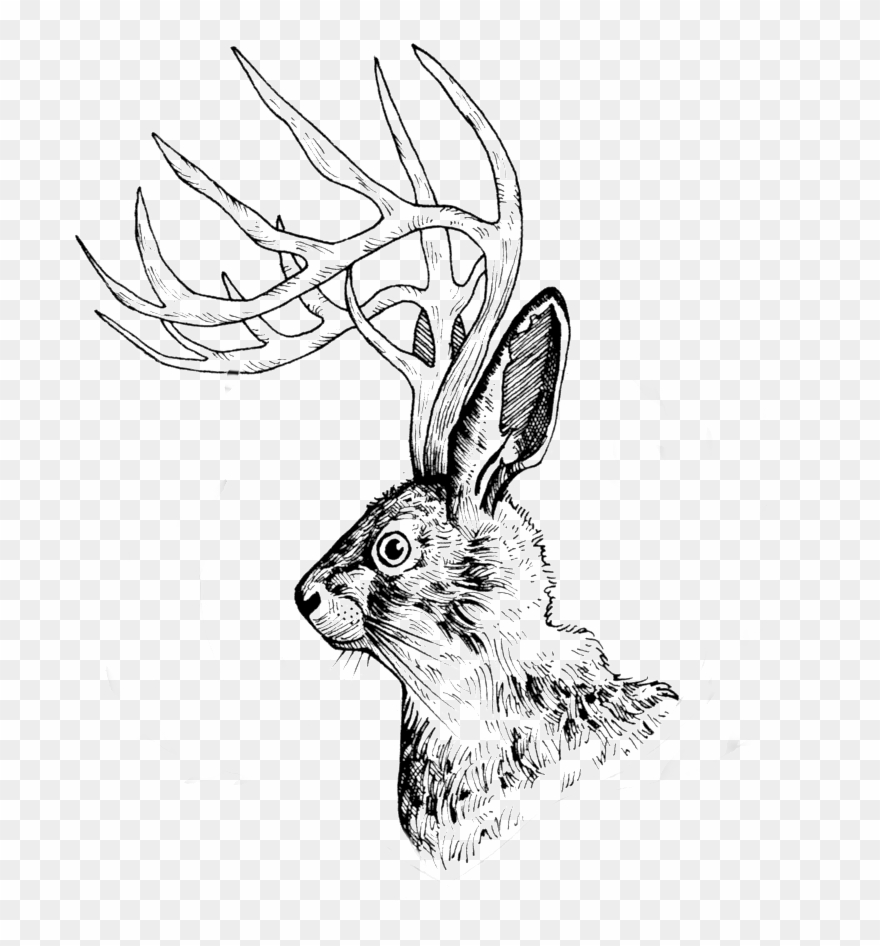 Jackalopeplain - Sketch Clipart