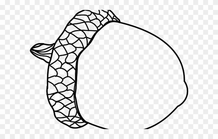 Acorn Clipart Black And White - Drawing Of An Acorn - Png Download