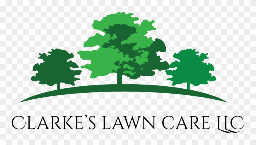 Puritan's Pride Shark Cartilage 740 Mg-100 Capsules Clipart