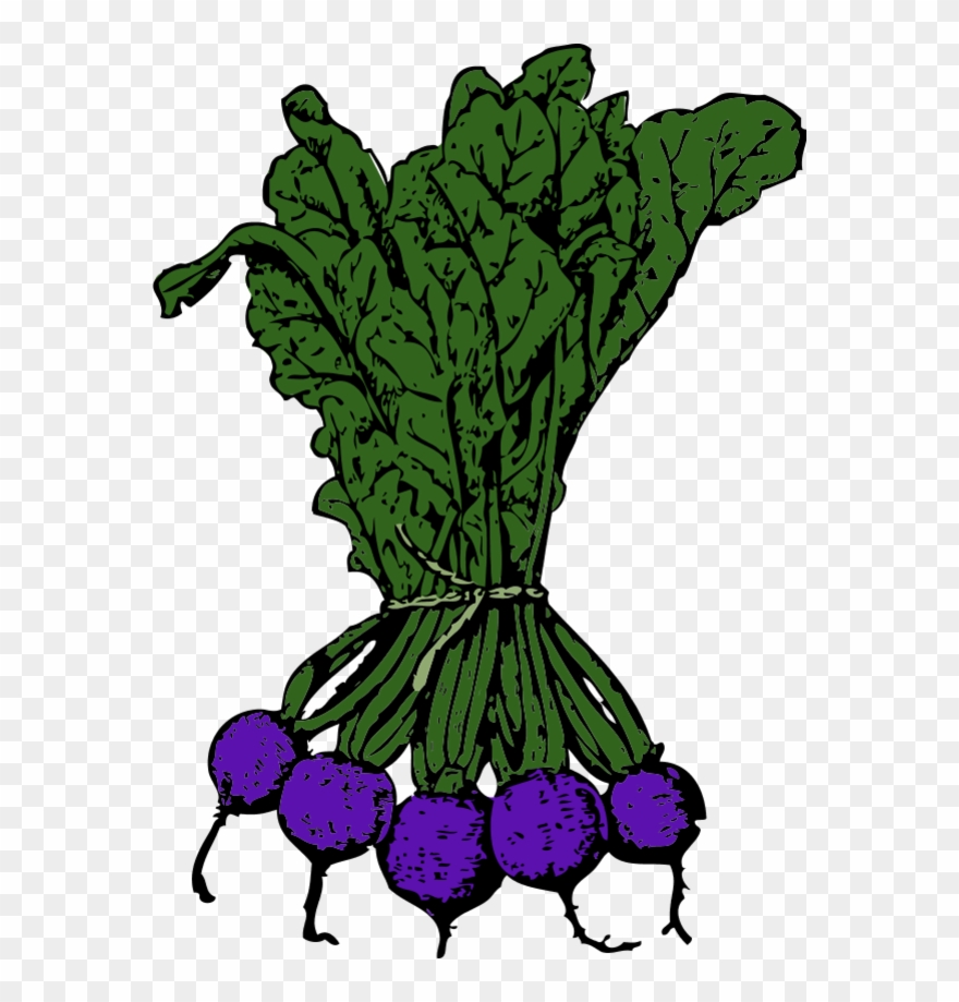 Vector Clip Art - Beets Clip Art - Png Download