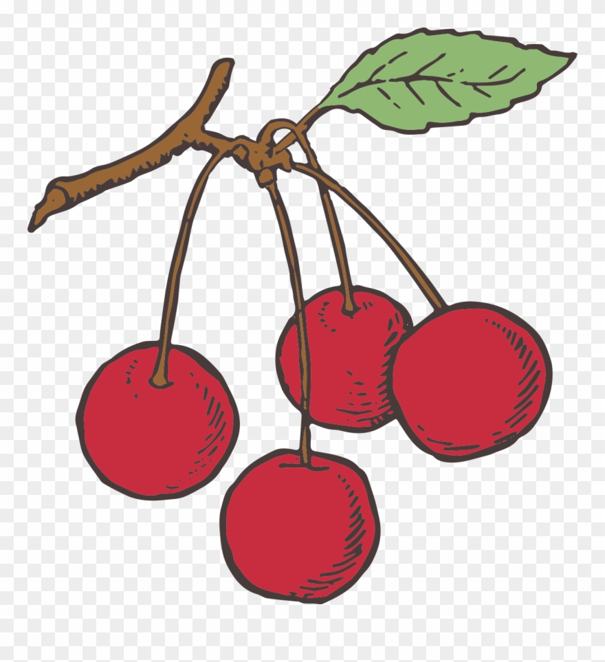 Cad Tea Time Fruit Veg Teapot-3 - Teapot Clipart