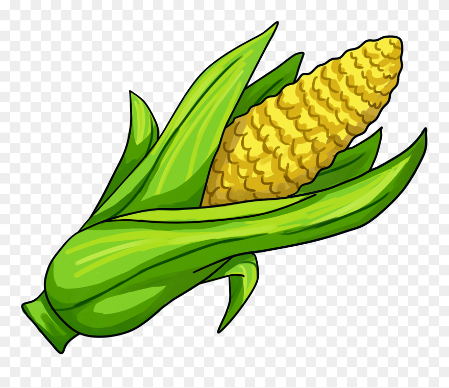 Corn On The Cob Maize Clip Art - Corn Illustration Png Transparent Png