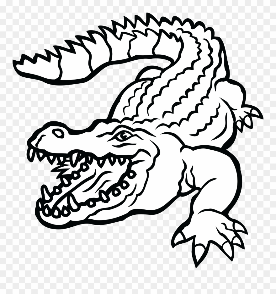 Clip Freeuse Stock Collection Of Free Crocoisite Download - Enormous Crocodile Word Search - Png Download