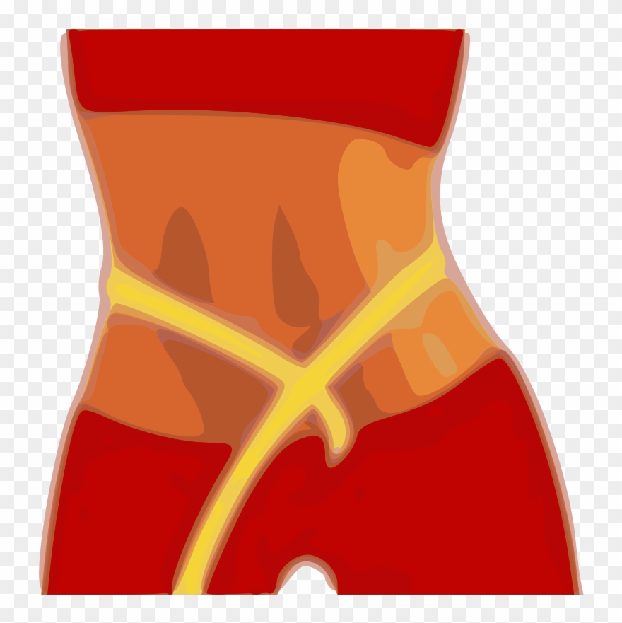 Clip Arts Related To - Diet Clipart - Png Download