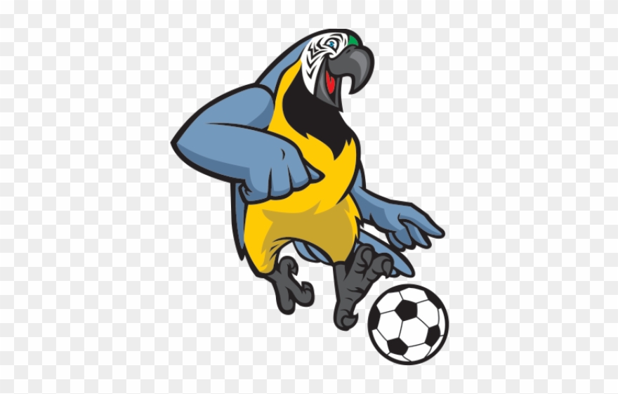 Parrot Clipart Soccer - White Soccer Ball - Png Download