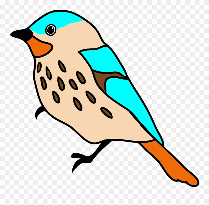 Handbook - Drawings Of Birds With Color Clipart