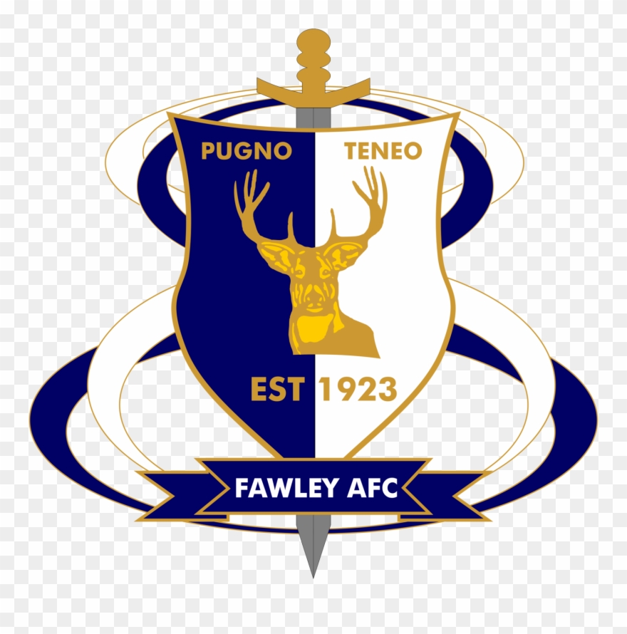 Supporters Clipart Role Responsibility - Fawley Afc - Png Download