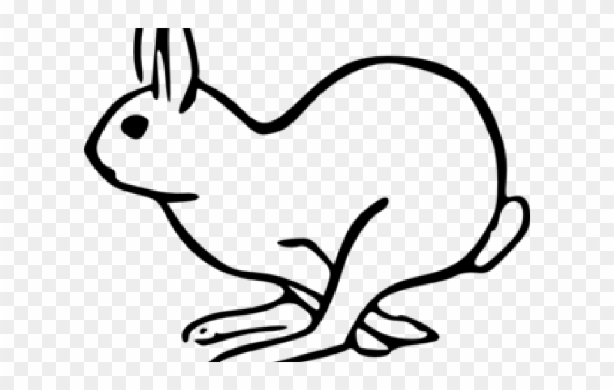Hare Clipart Clip Art - Rabbit Clip Art - Png Download