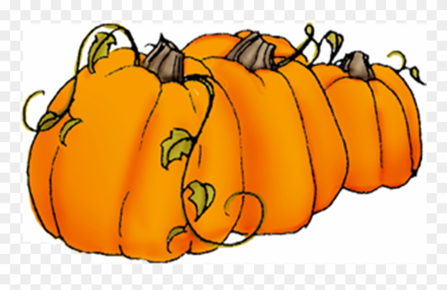 Pumpkin Clipart Vine - Transparent Background Pumpkins Clip Art - Png Download