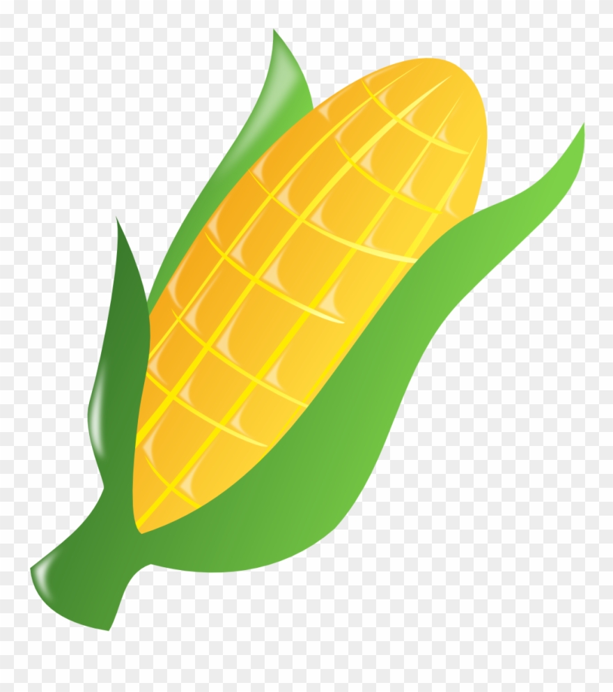 Corn Black White Line Art 999px 322 - Corn Clipart Transparent Background - Png Download