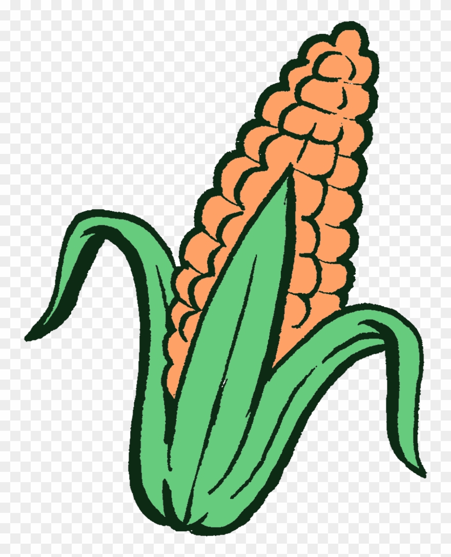 This Process Continues, With The Slightly Taller Plants Clipart