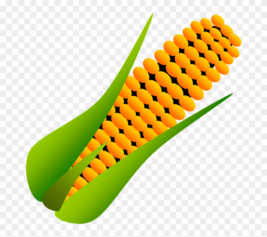 Corn Popcorn Cartoon - Corn Dessin Clipart