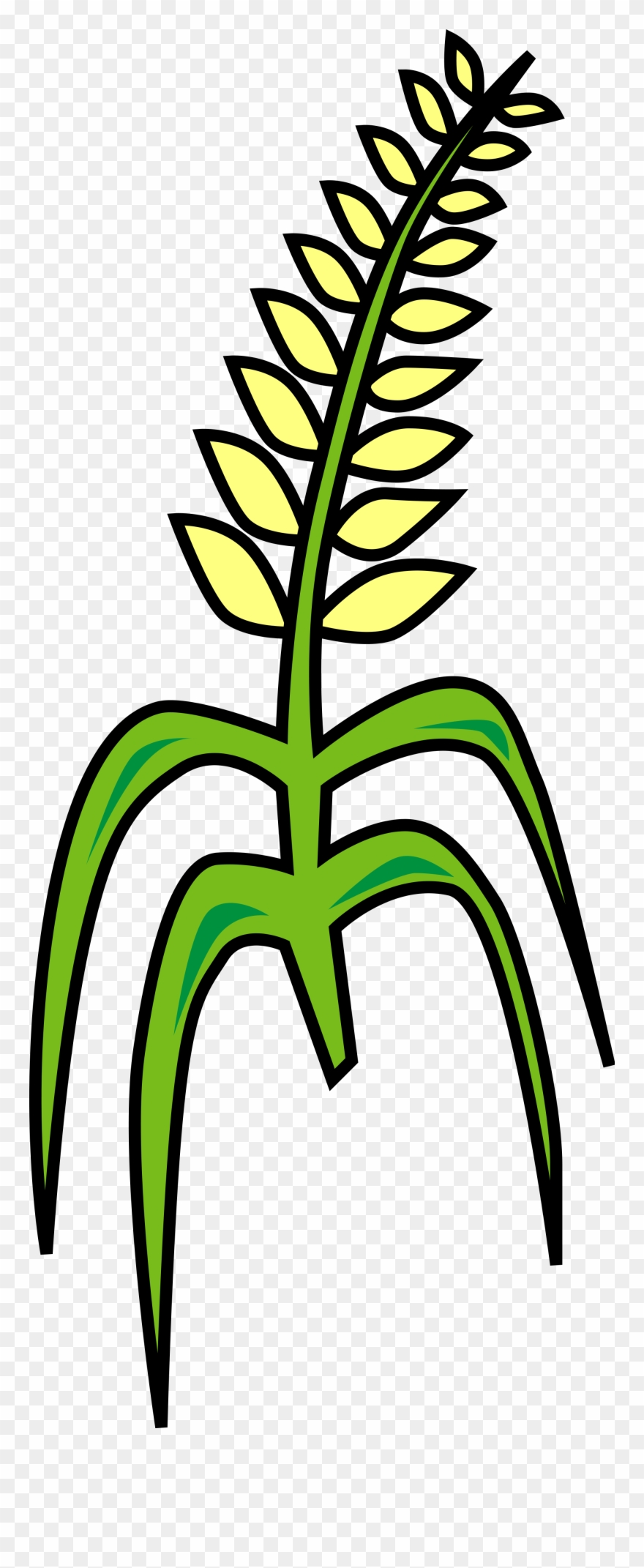Royalty Free Library File Grain Svg Wikimedia Commons - Grain Clipart - Png Download