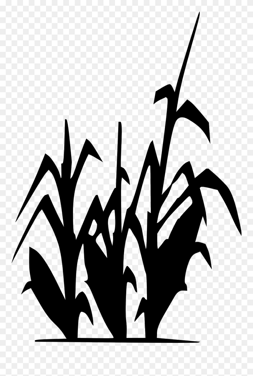 Cornfield Drawing Grain Field - Limitless Horizons Ixil Clipart