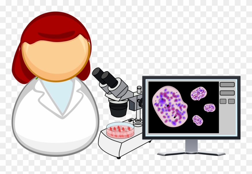 Picture Library Library Microbiologist - Cell Clip Art - Png Download