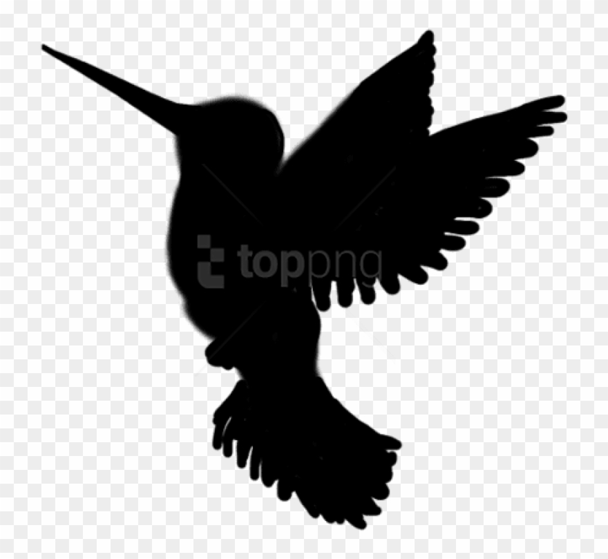 Free Png Download Hummingbird Silhouette Png Images - Bird Logo Transparent Background Clipart