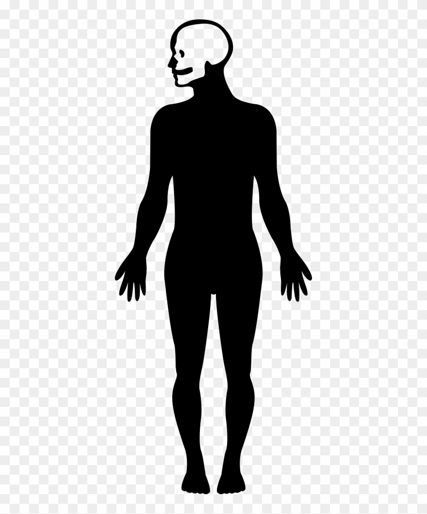Download 407 X 981 1 0 - Human Body Silhouette Clipart (#4100170 ...