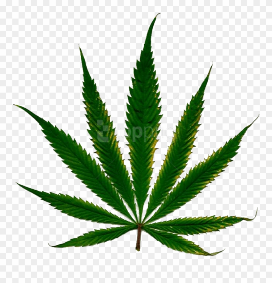 Free Png Download Cannabis Clipart Png Photo Png Images - Weed Leaf Transparent Background