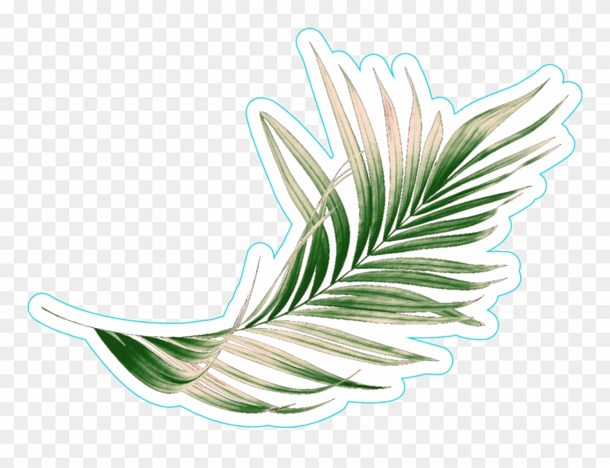 Green Palm Leaf Sticker - Illustration Clipart