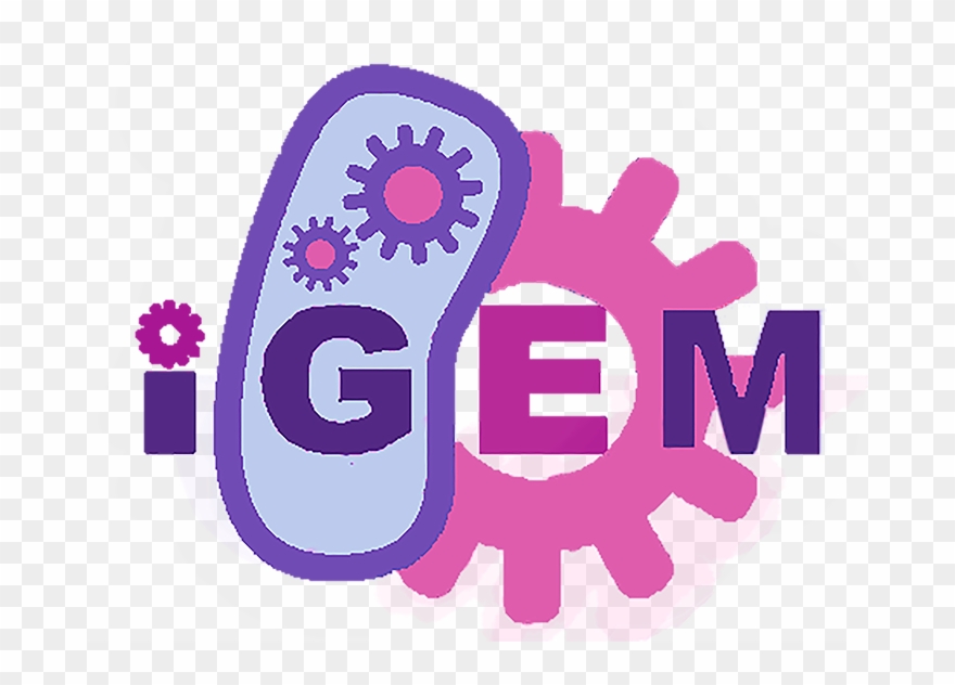 720 X 552 3 - Igem 2011 Clipart