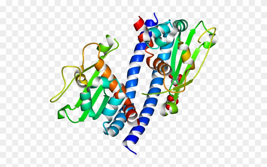 Database Information - Graphic Design Clipart