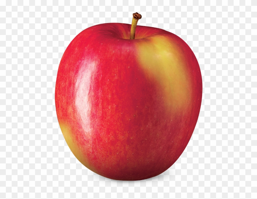 720 X 720 1 0 - Mcintosh Clipart