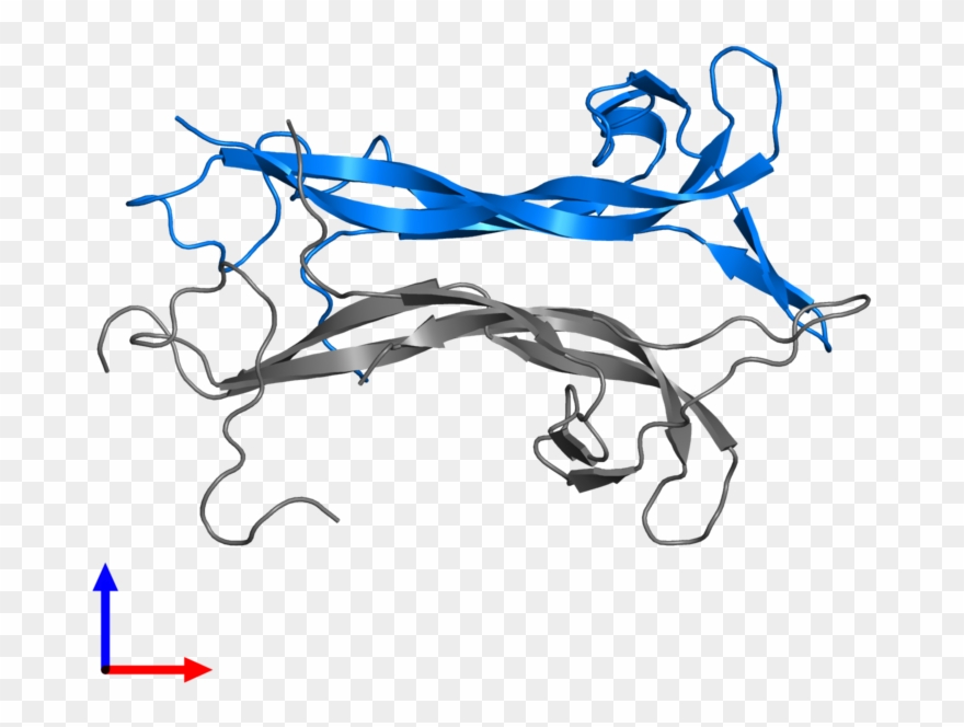 <div Class='caption-body'>pdb Entry 1b8m Contains 1 - Illustration Clipart