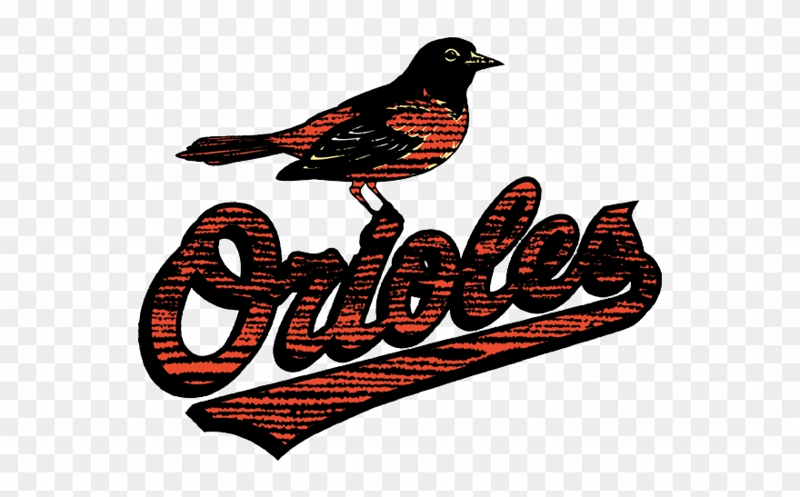 Baltimore Orioles 2009-present Primary Logo Distressed - Robin Clipart