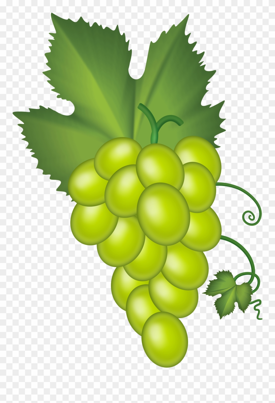 White Grape Cluster Png Clip Art - Grape Cluster Art Png Transparent Png