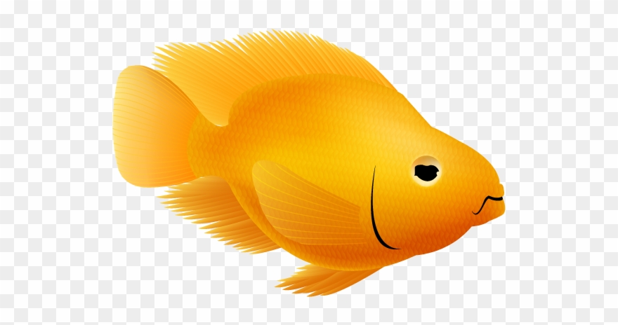 Parrotfish - Goldfish Clipart