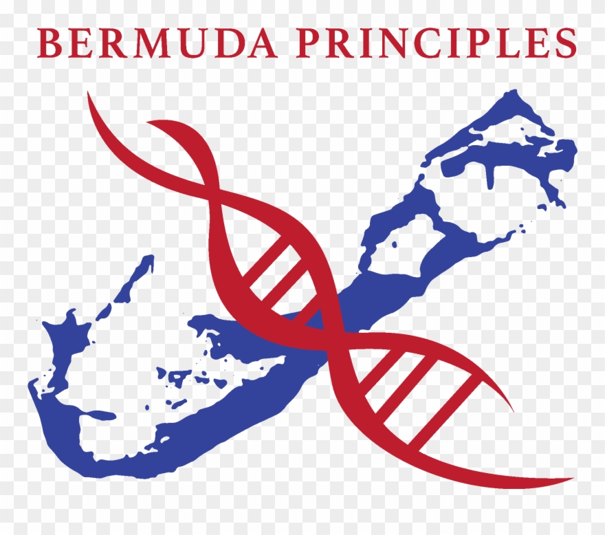 Bermuda Principles Clipart