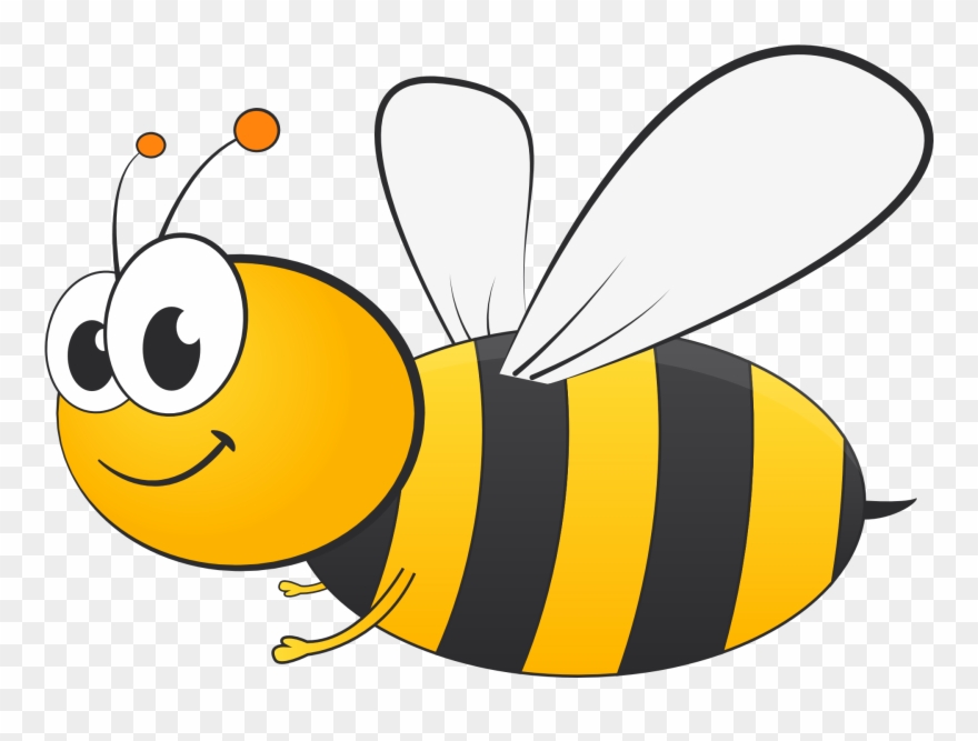 Pngpix Com Honey Bee Vector Png Transparent Image Clipart