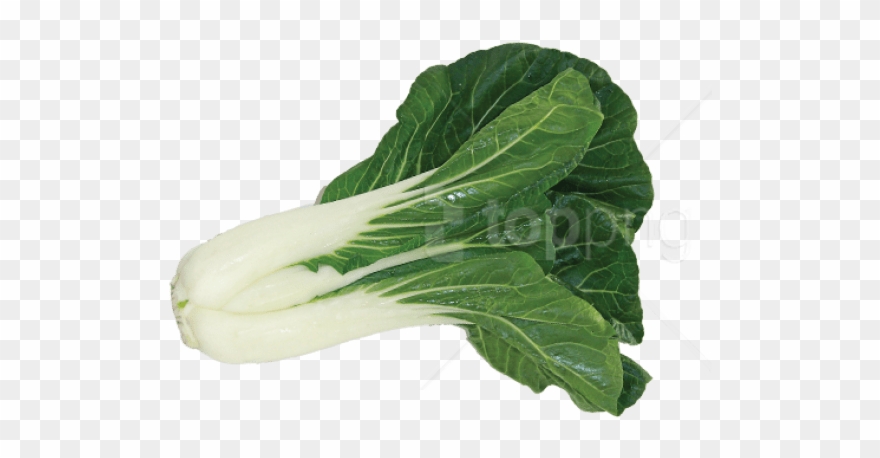 Free Png بوك صورة تشوي Png Images Transparent - Bok Choy Png Clipart
