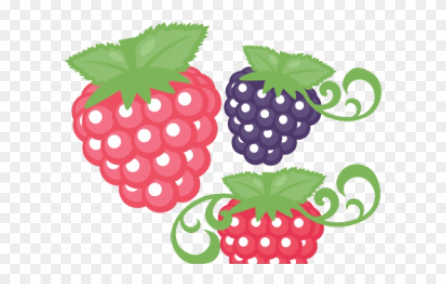Raspberries Clipart Cute - Raspberry Fruit Pencil Art - Png Download