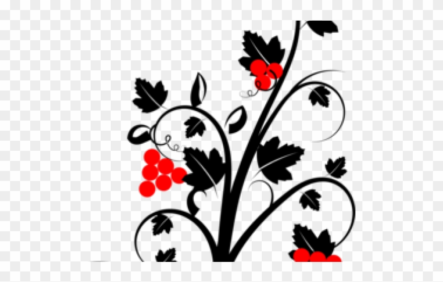 Raspberry Clipart Vine - Vine - Png Download
