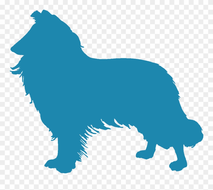 Roseview Shelties - Dog Jumps Clipart