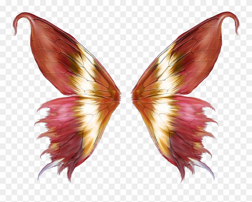 Butterfly Background - Butterfly Wings Png Clipart