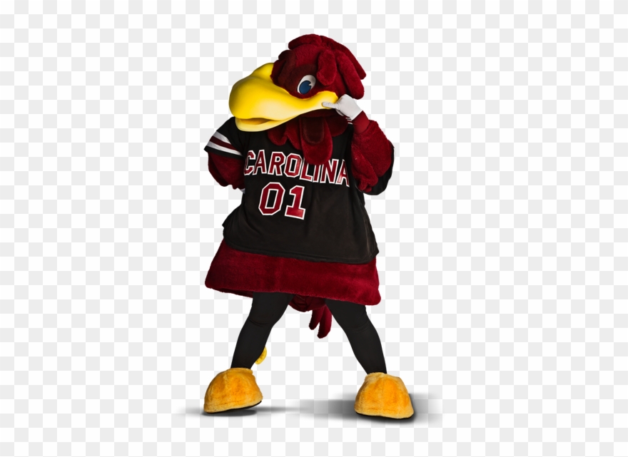 Capital One Mascot Challenge 2014 - University Of South Carolina Mascot Clipart