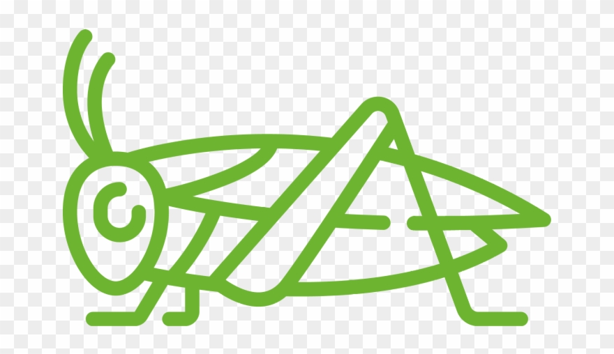 New Protein Sources - Cricket Bug Icon Clipart