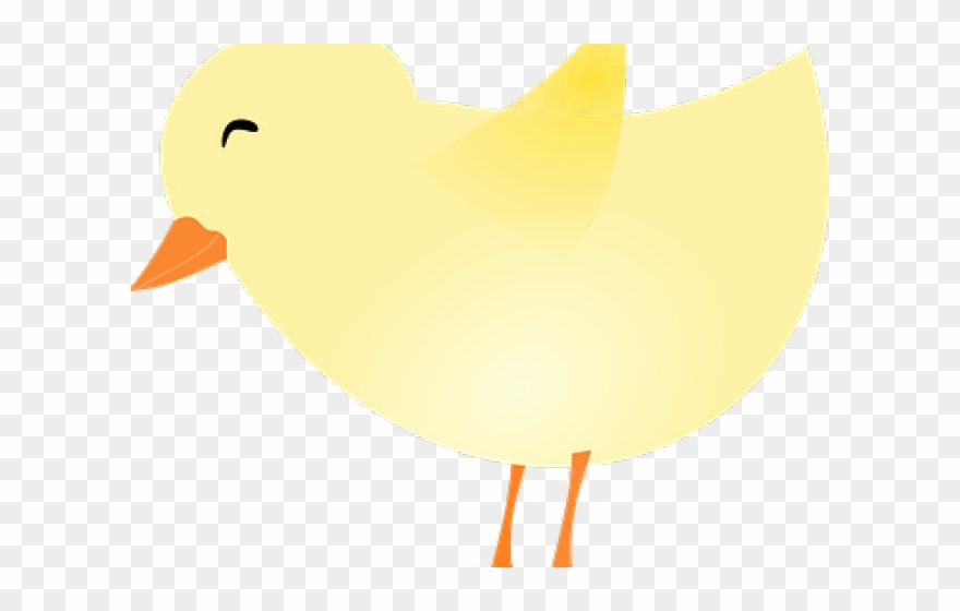 Baby Chicks Drawing With Transparent Background Clipart