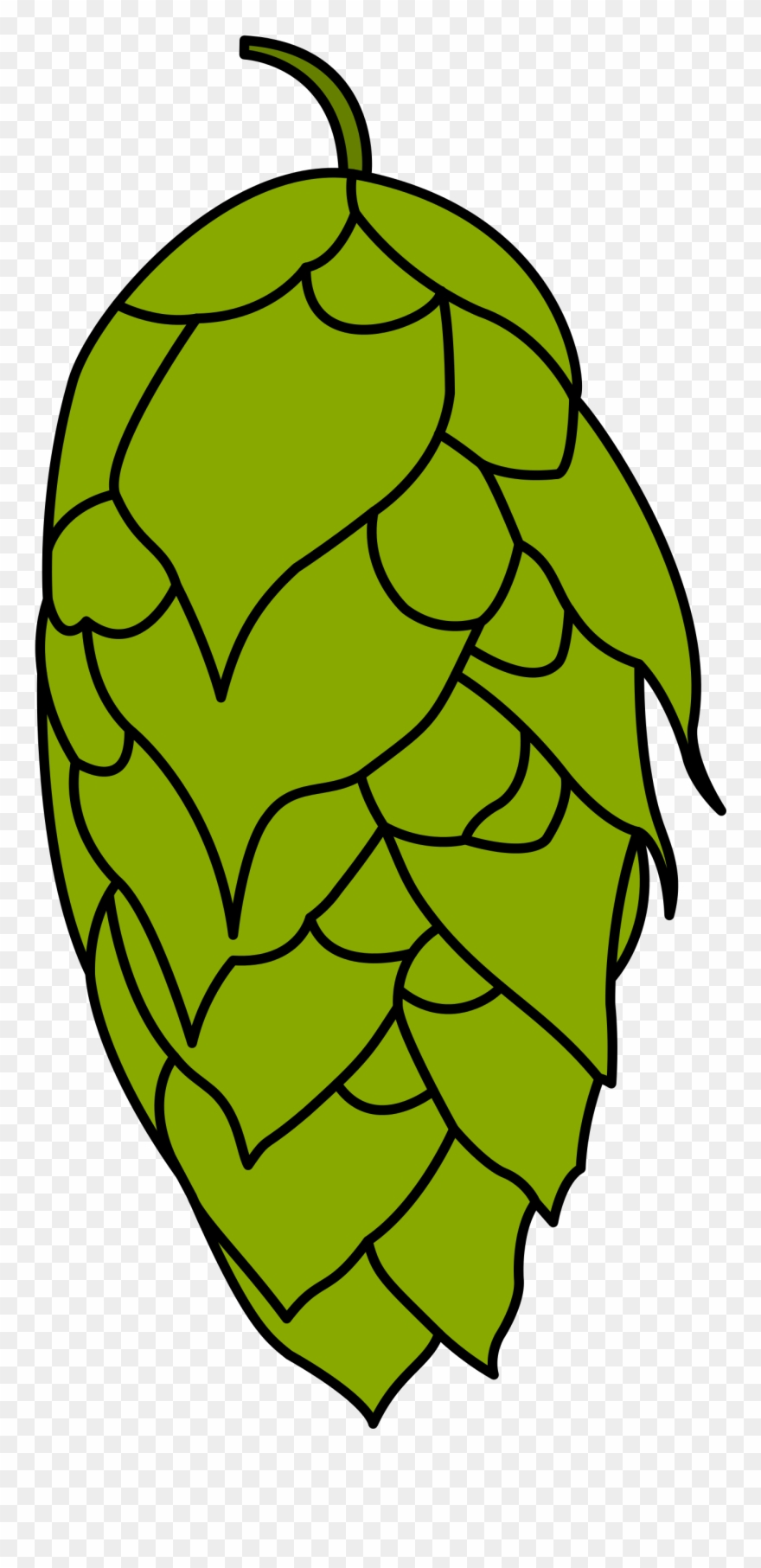 File Hopfendolde Wikimedia Commons Open - Hopfendolde Grafik Clipart