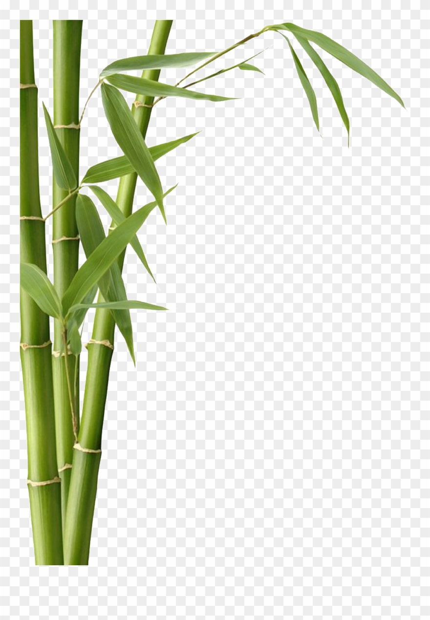 Free Online Puzzle Games Transparent Background - Modern Product Packaging Ideas Clipart