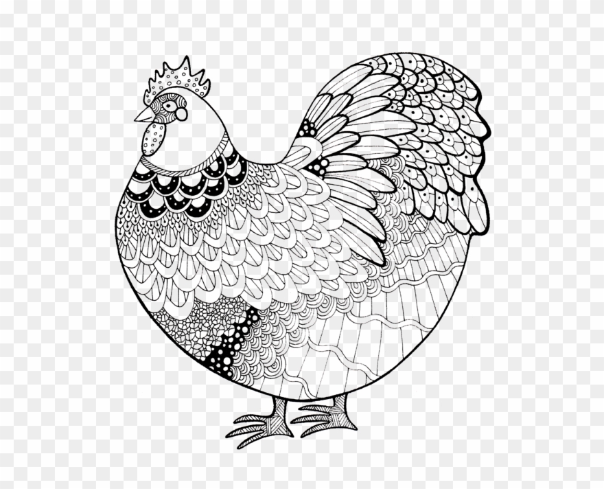 600 X 666 3 - Zentangle Art Chicken Clipart