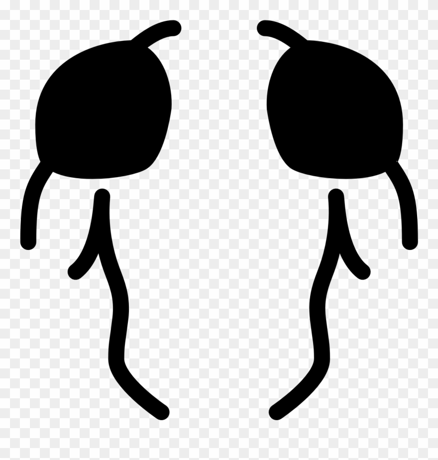 Shoulders Filled Icon - Shoulders Icon Clipart