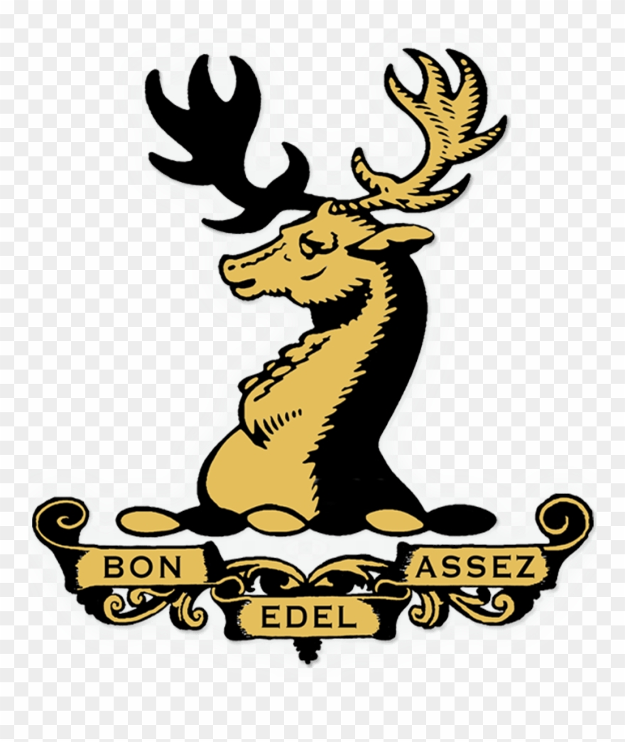 Almofada Alexander Keith's - Cartoon Clipart