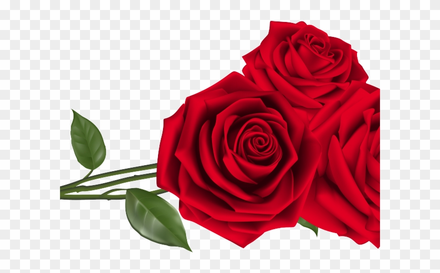 Purple Rose Clipart Valentine's Day Flower - Red Rose Png Transparent Png