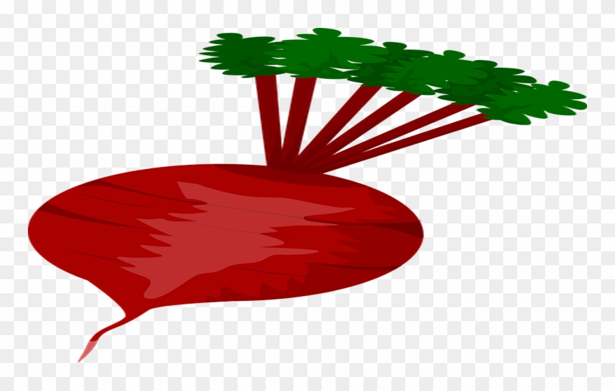 Beet Clipart - Png Download