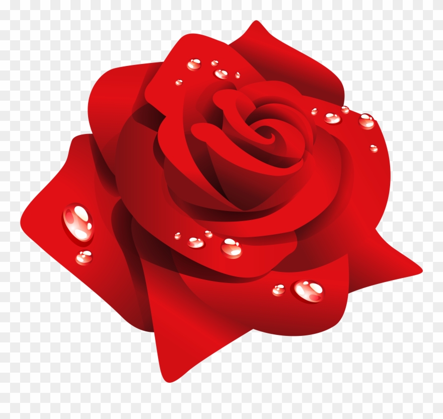 Transparent Red Rose Clip Art - Red Rose Flower Png